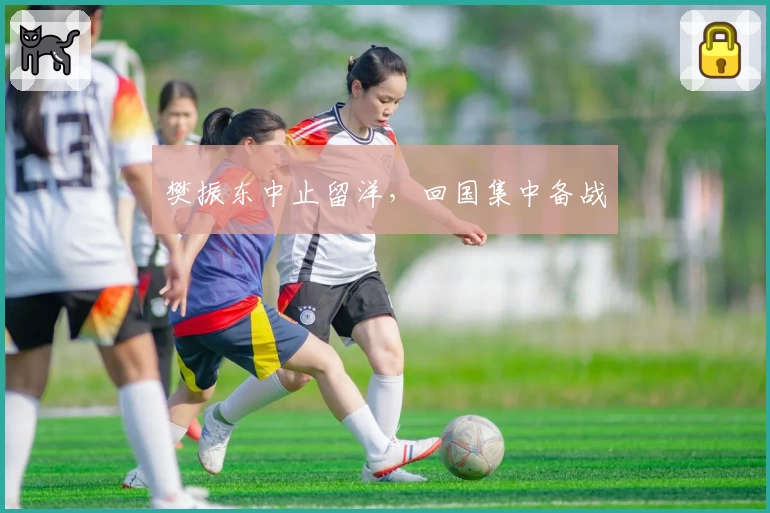 樊振东中止留洋，回国集中备战