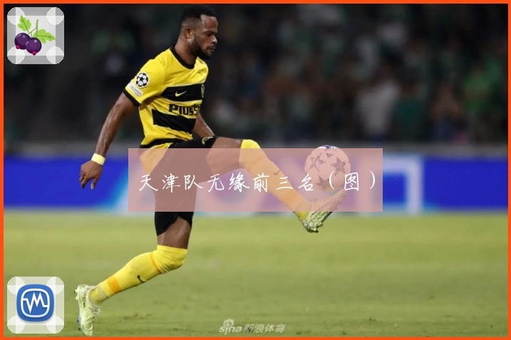 天津队无缘前三名（图）