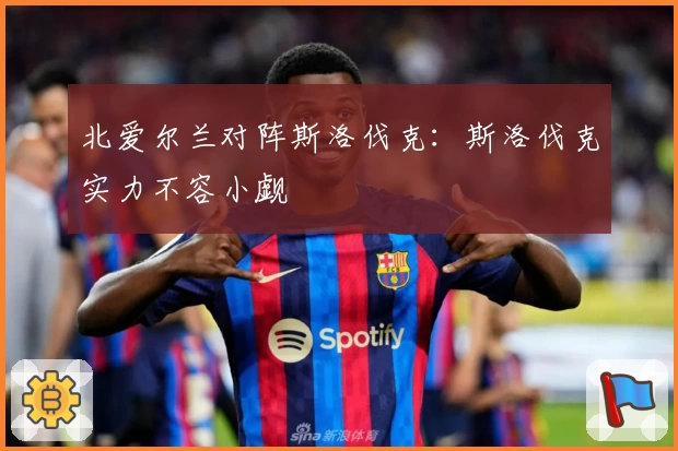 北爱尔兰对阵斯洛伐克：斯洛伐克实力不容小觑