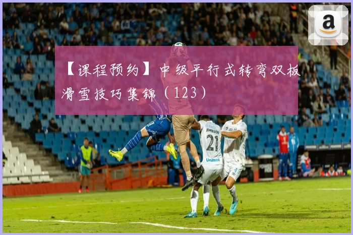 【课程预约】中级平行式转弯双板滑雪技巧集锦（123）