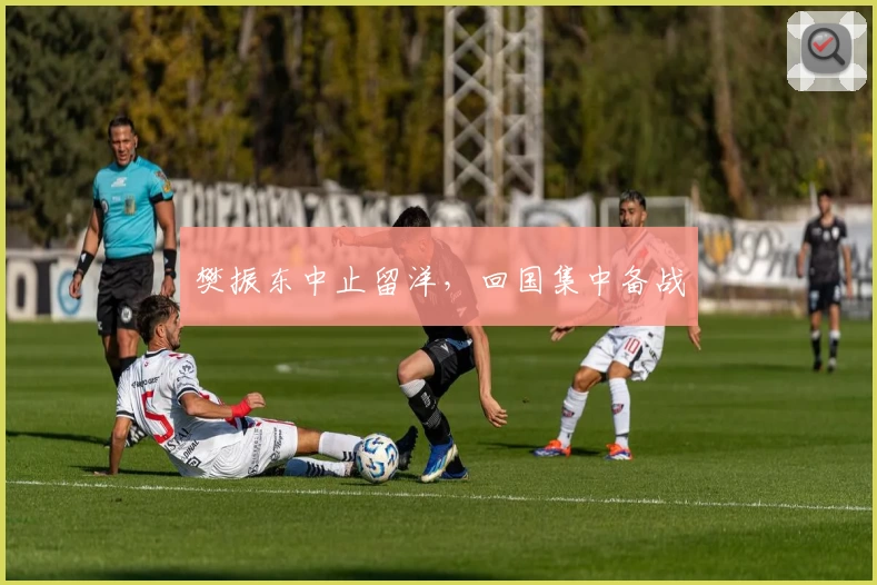 樊振东中止留洋，回国集中备战