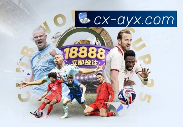 爱游戏发展历程